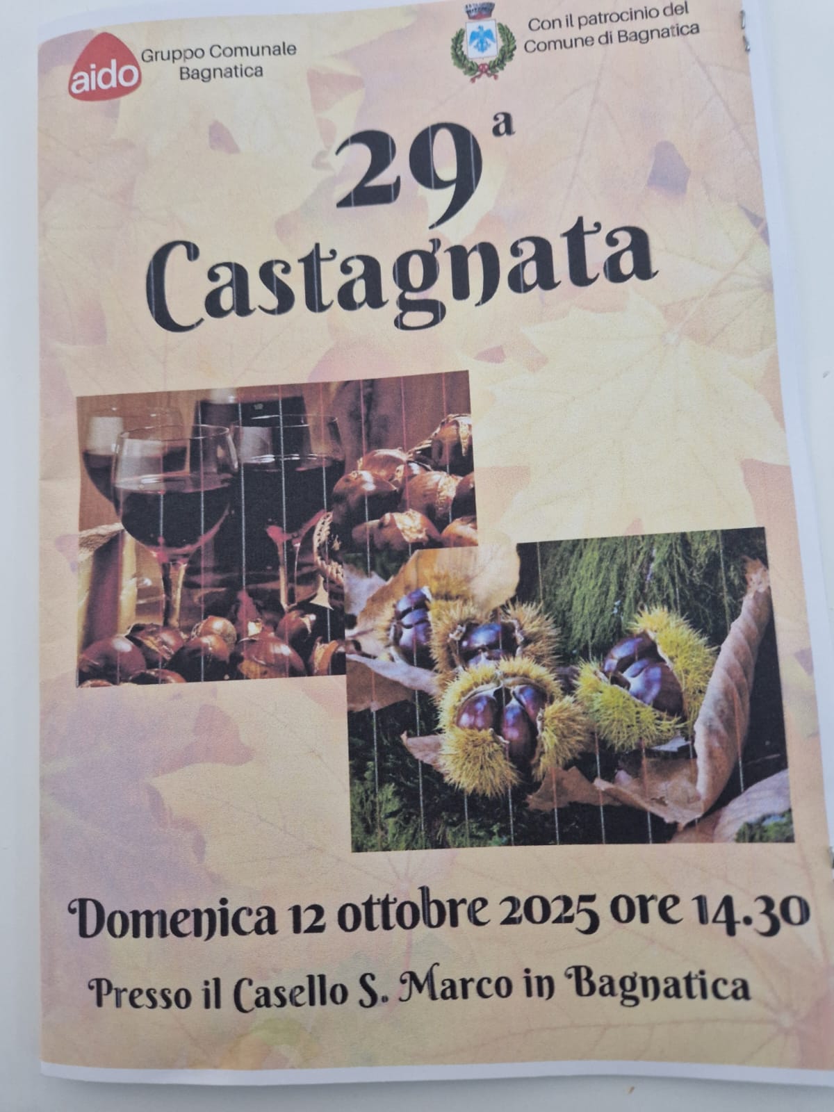 Immagine anteprima